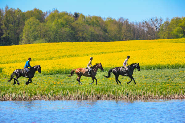 Cavaliers au petit galop le long d'une rivière en Pologne