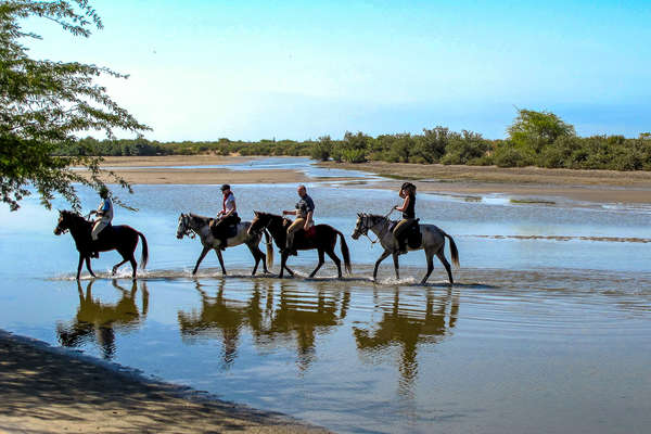 Cavaliers au Sénégal