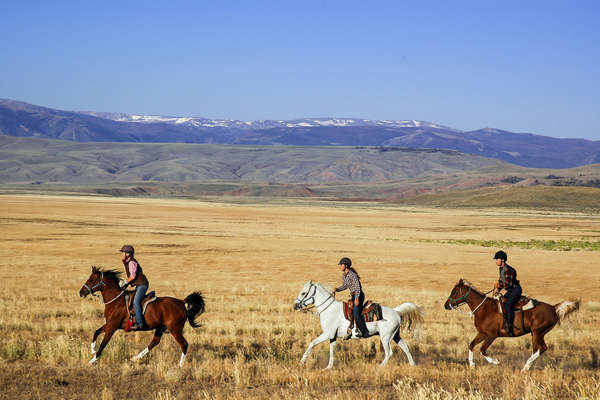 Cavaliers au Wyoming