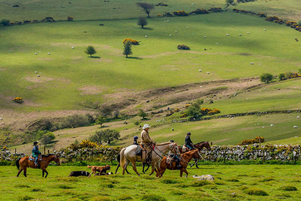Cavaliers chevauchant dans le Dartmoor (Devon, Angleterre)