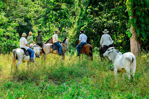 Cavaliers dans la forêt au Costa Rica