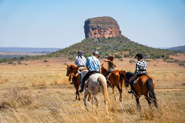 Cavaliers dans la réserve d'Entabeni