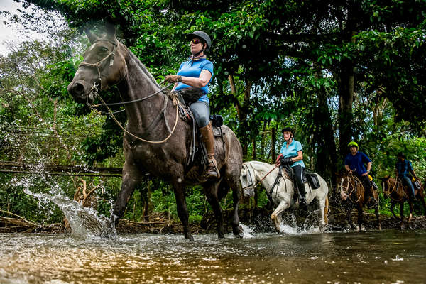 Cavaliers dans la rivière au Costa Rica