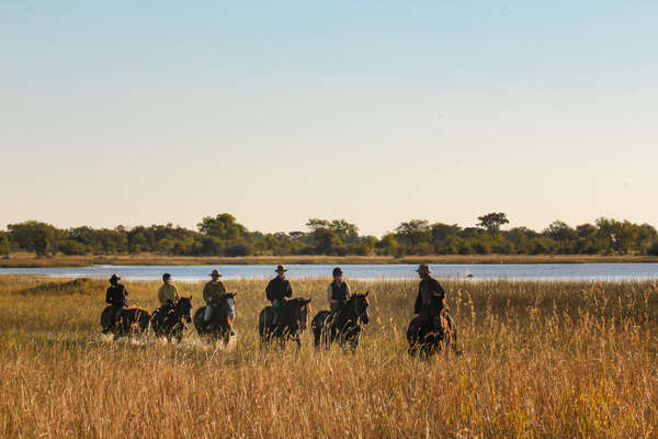 Cavaliers dans le delta de l'Okavango