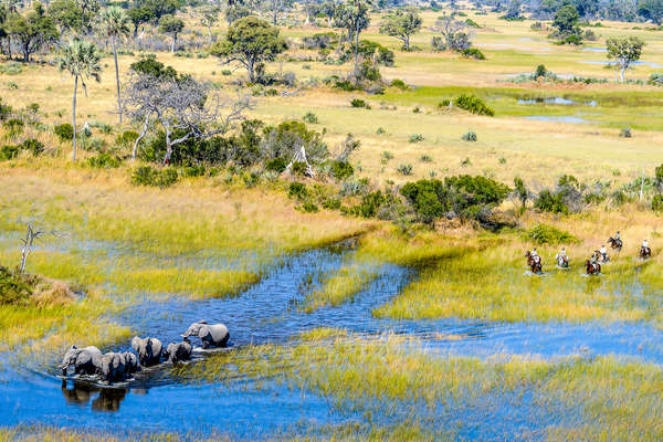 Cavaliers dans le delta de l'Okavango