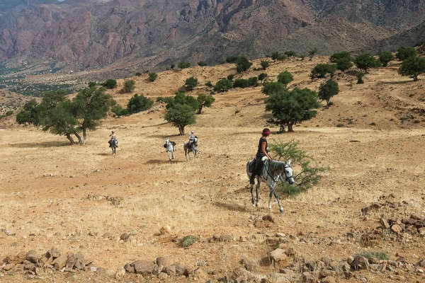 Cavaliers dans le Grand Sud du Maroc