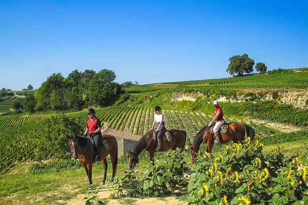 Cavaliers dans le paysage du Médoc