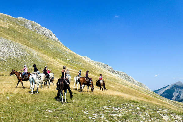 Les Bauges à cheval