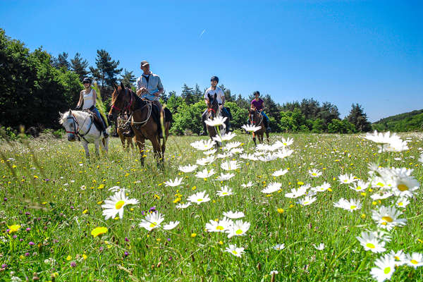 Cavaliers dans les champs d'Ardèche