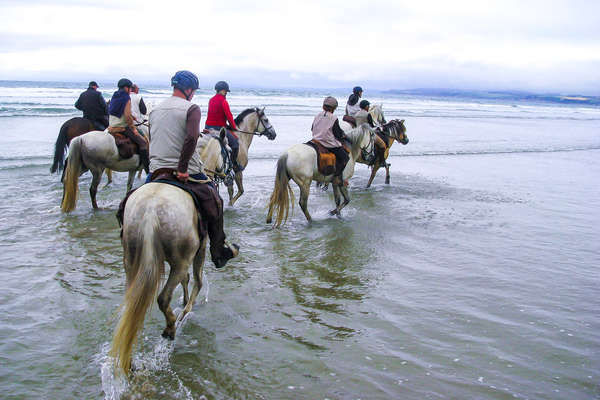 Cavaliers dans les eaux bretonnes
