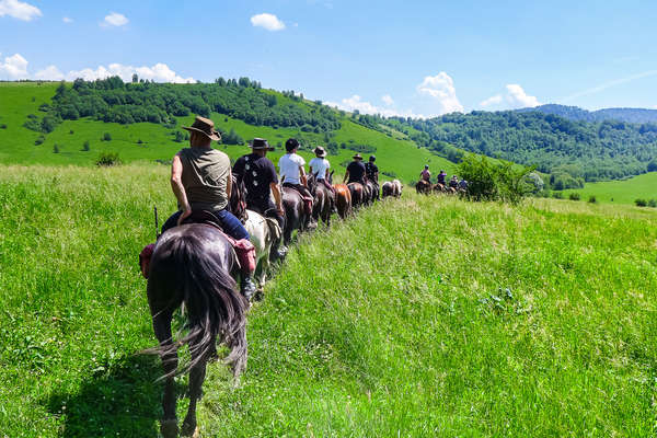 Cavaliers dans les plaines polonaises
