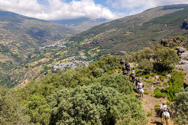 Cavaliers en Andalousie