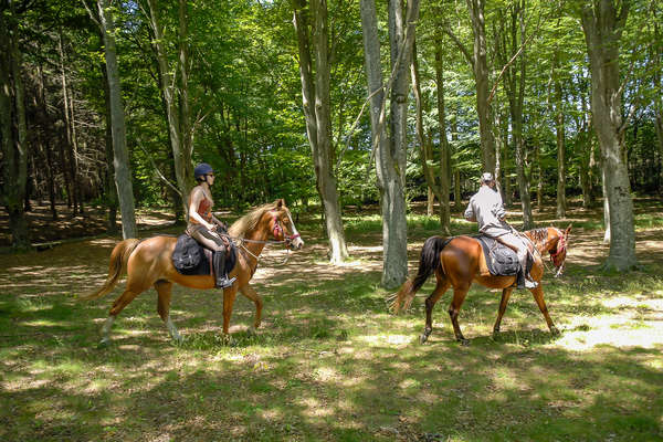 Randonnée à cheval pour enfant et adolescent en Ardèche