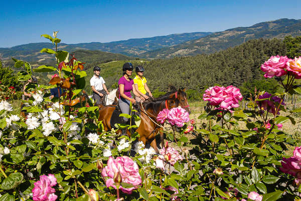 Cavaliers en Ardèche