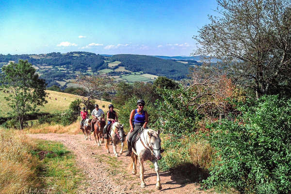 Cavaliers en Bourgogne