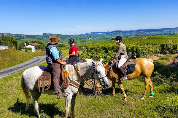 Cavaliers en Bourgogne