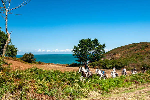 Cavaliers en Bretagne