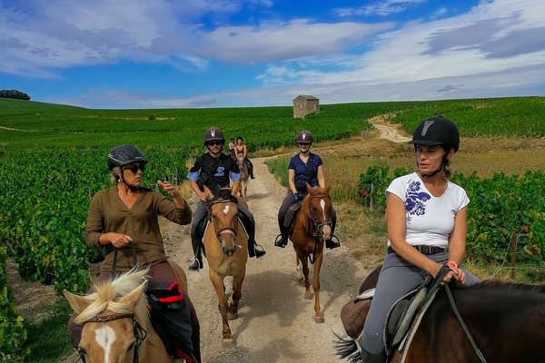 Cavaliers en Champagne