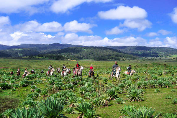 Cavaliers en Ethiopie