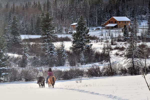 Cavaliers en hiver au Canada
