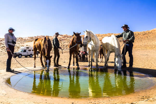 Cavaliers en Namibie