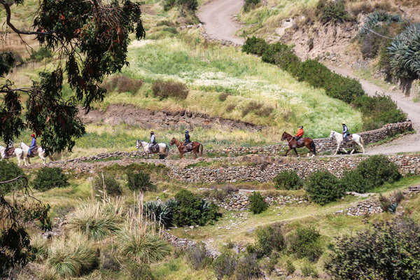 Cavaliers en randonnée au Pérou