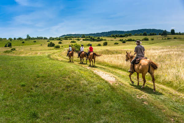 Cavaliers en randonnée en Slovénie