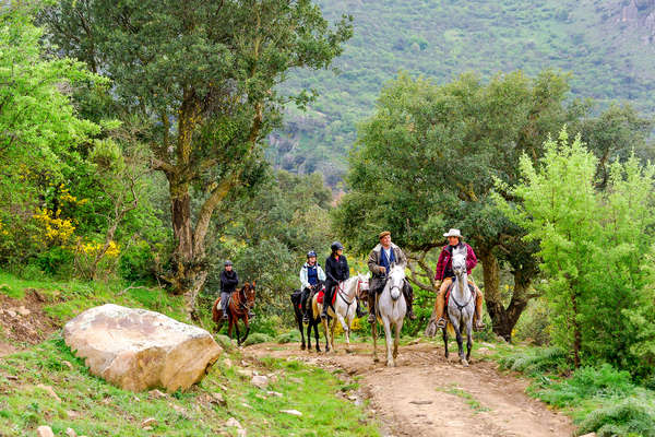 Cavaliers en Sicile