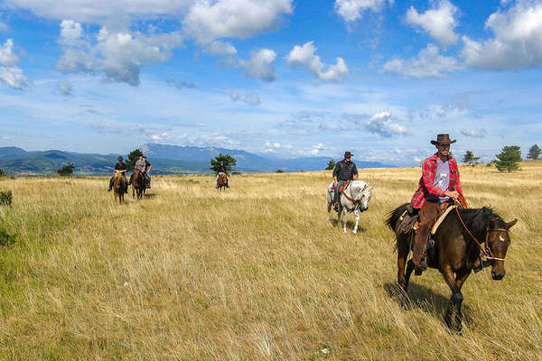 Slovénie à cheval