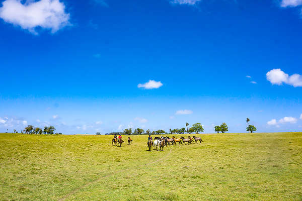 Rando à cheval en Uruguay