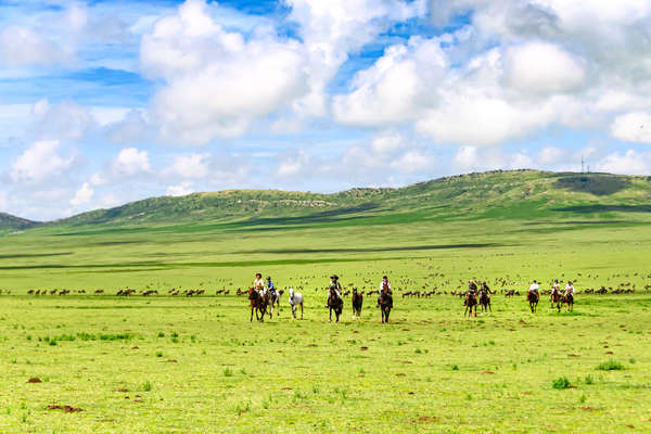 Cavaliers et gnous en Tanzanie