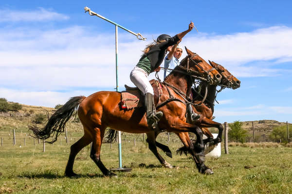 Cavaliers et jeux à cheval en Argentine