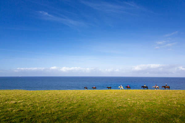 Cavaliers sur la Wild Coast