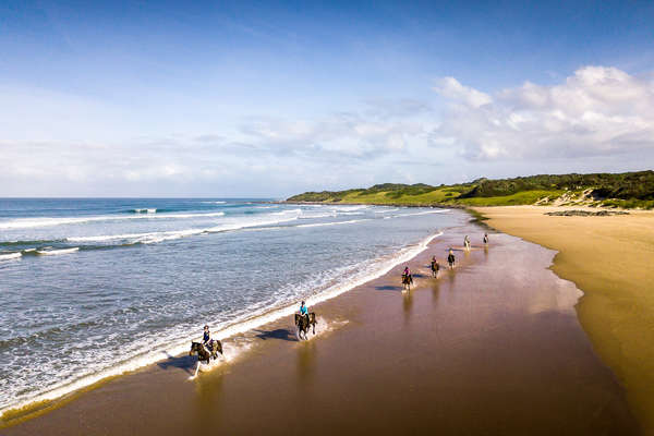 Cavaliers sur la Wild Coast