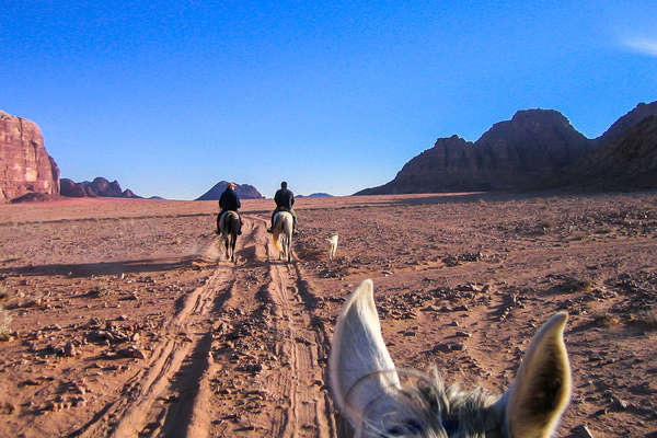 Cavaliers sur les pistes du Wadi Rum