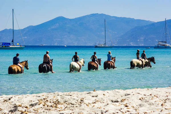 Cavaliers sur les plages corses