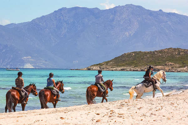 Cavaliers sur les plages corses
