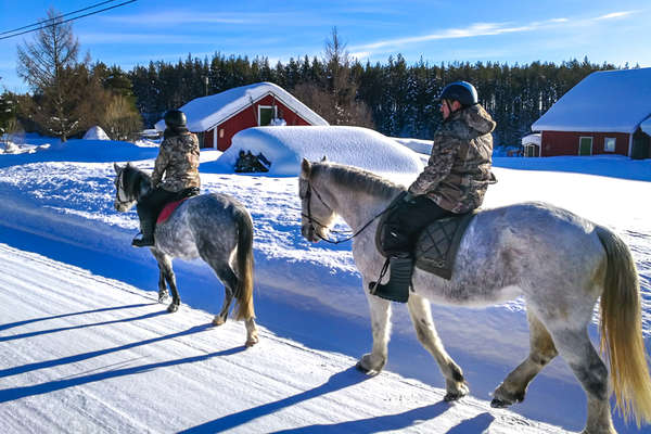 Cavaliers sur les routes enneigées de Suède