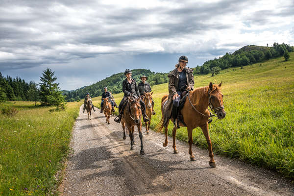 Cavaliers sur les sentiers de la Slovénie