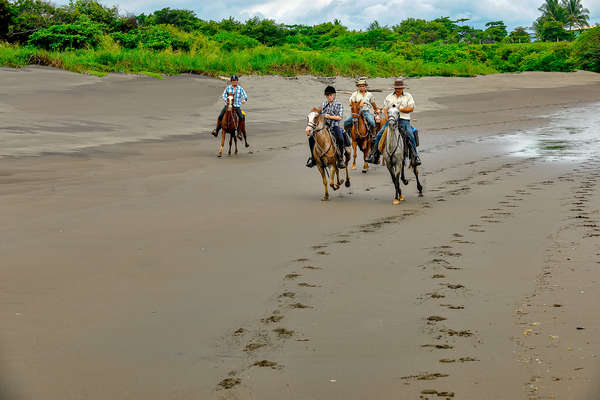 Cavaliers sur une plage au Costa Rica