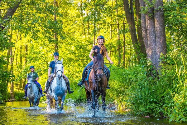 Cavaliers traversant une rivière en forêt en Pologne