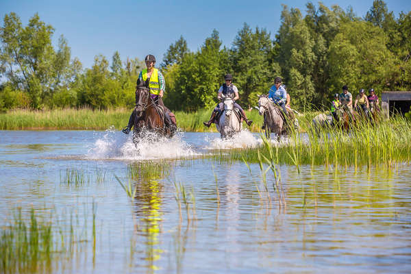 Cavaliers traversant une rivière en Pologne