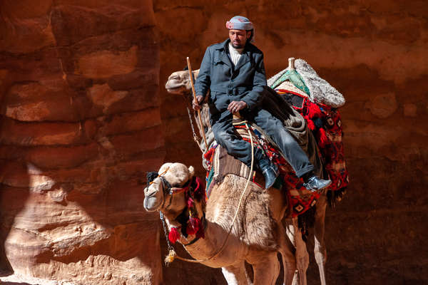 Chamelier  en marche à Petra