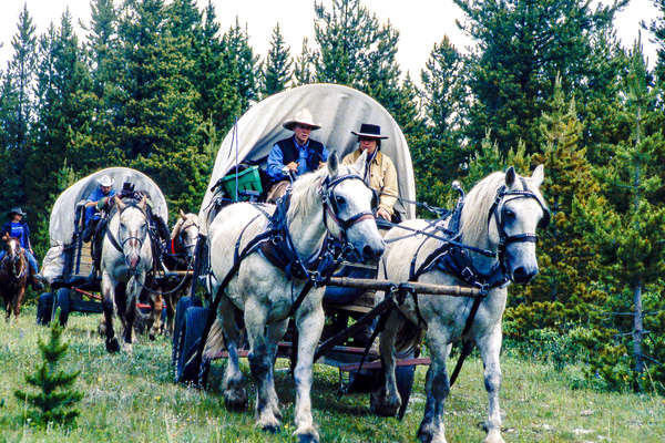 Chariots attelés au Canada