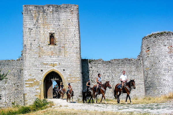 Château Cathare