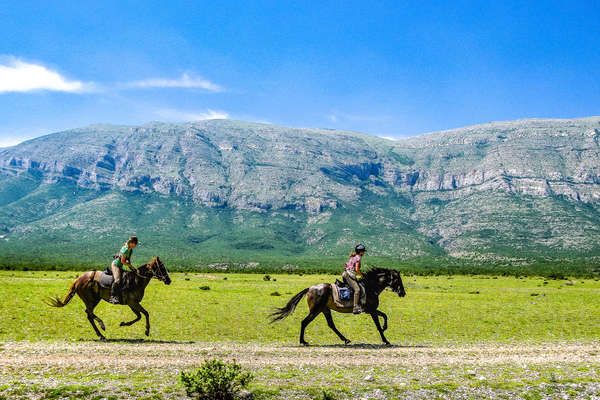 Chemins croates à cheval