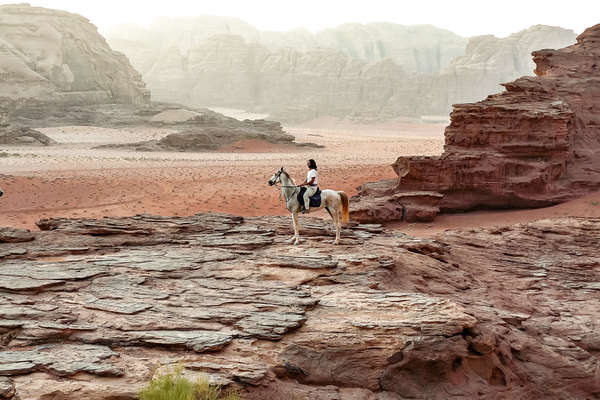 Cheval arabe dans le désert du Wadi Rum
