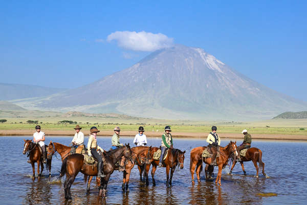 Cheval au lac Natron en Tanzanie