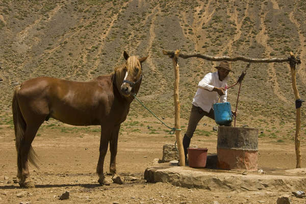 Randonnée équestre au Maroc