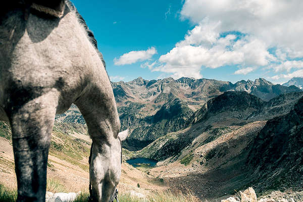 Mercantour à cheval